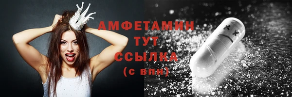 шишки Абаза