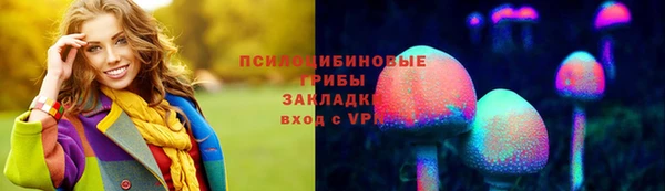 крисы Алзамай