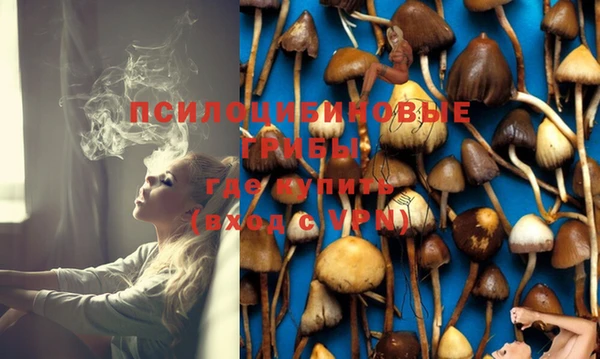 амф Абинск