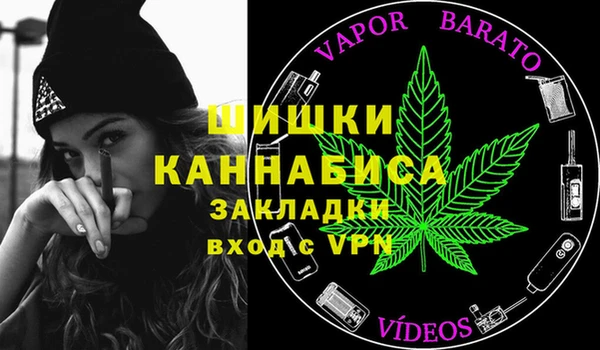 крисы Алзамай