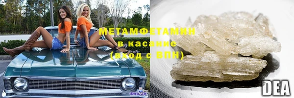 шишки Абаза